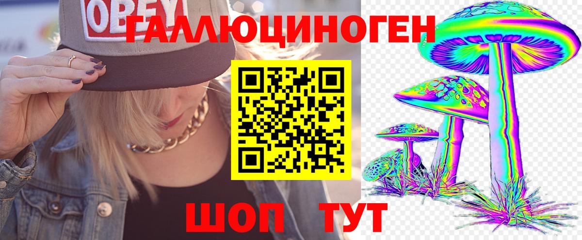 Галлюциногенные грибы прущие грибы Усть-Джегута
