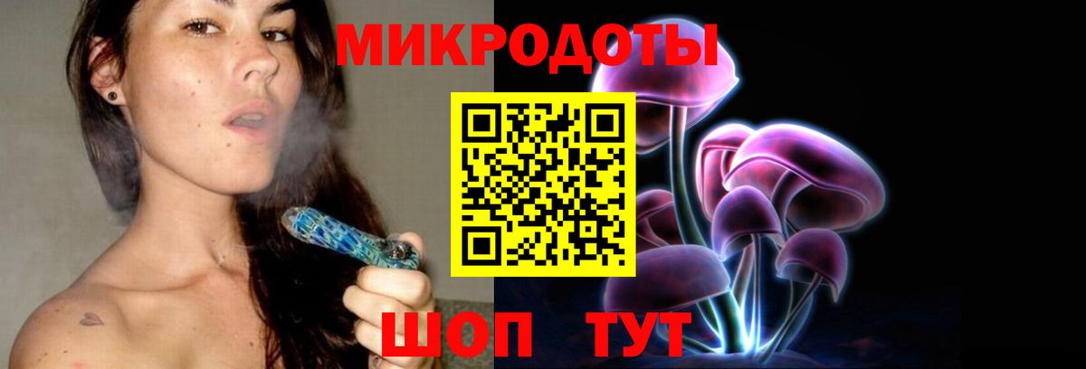 Усть-Джегута  Галлюциногенные грибы Cubensis  Вход с VPN 